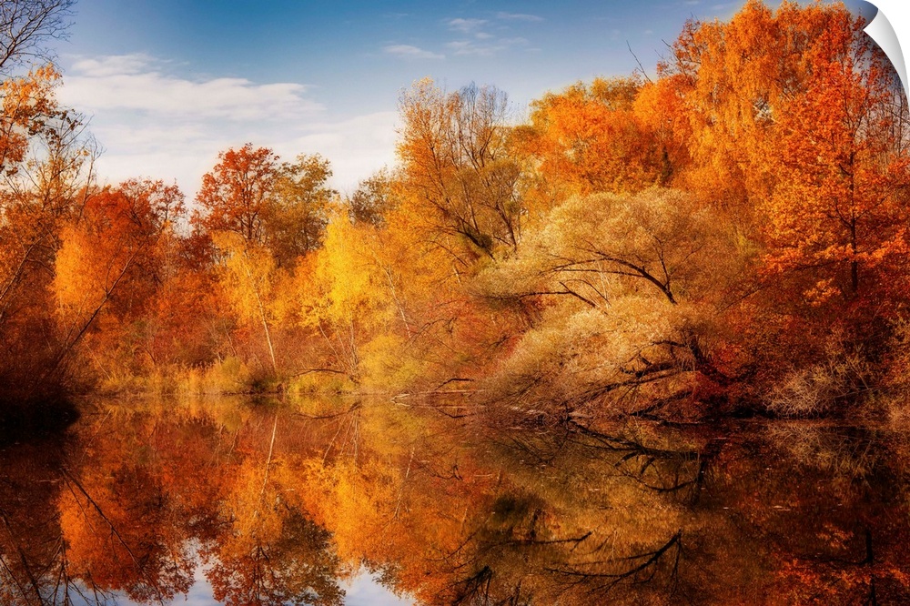 Beautiful autumn forest reflecting in water