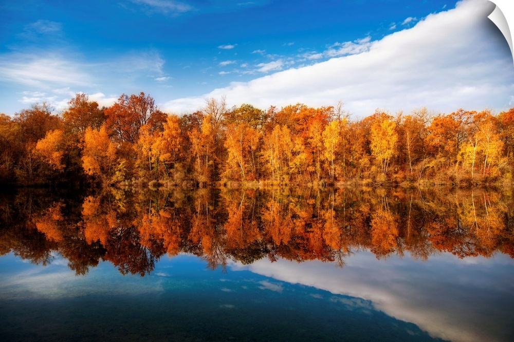 Reflections of trees in autumn in a lake