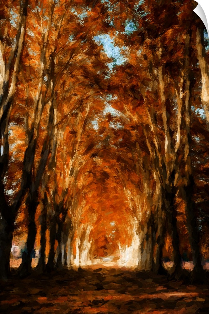 An avenue of trees in autumn with a process of expressionist photo or painterly