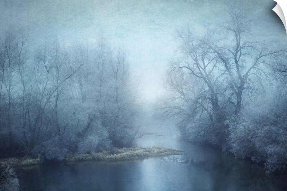 Blue toned photograph of a calm lake surrounded with winter trees.