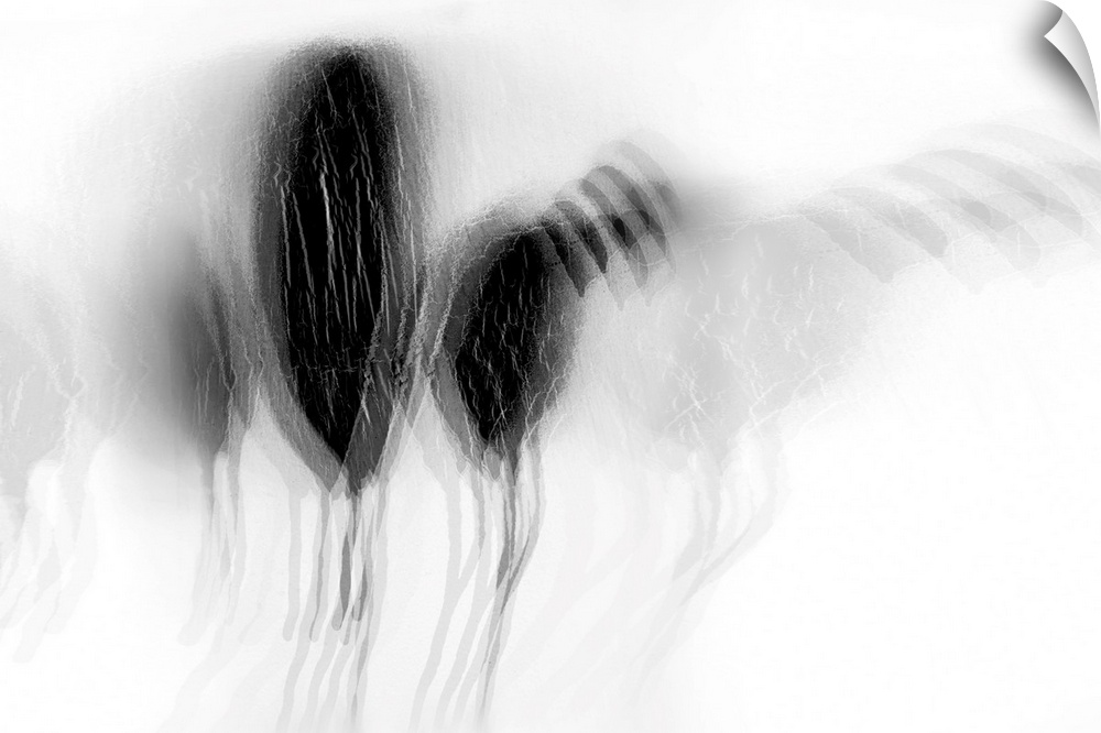 Artistic abstract photograph of a multi-exposure image in black and white.