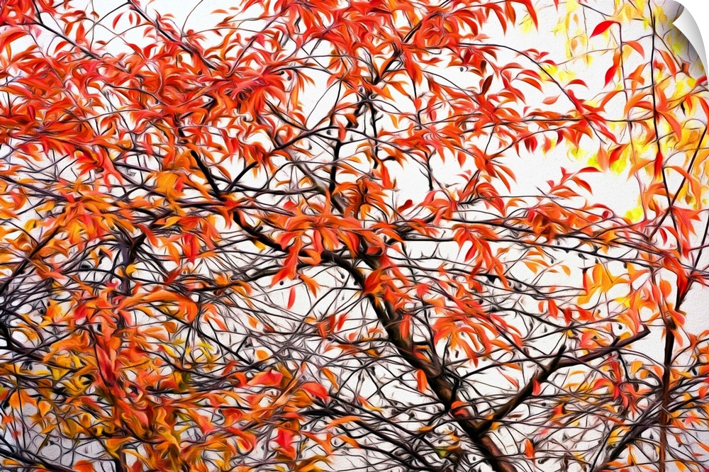 Image of red, orange, and yellow Autumn leaves on a tree with a painted effect.