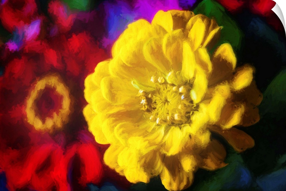 Close-up photograph of yellow and red flowers with a painted look finish.
