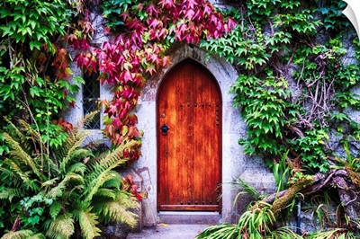 Door With Ivy In Cork