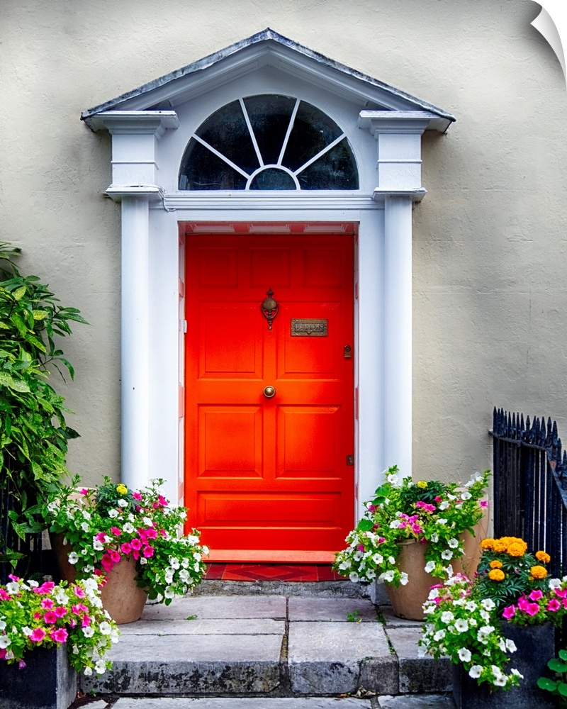 Colorful antique entry door with potted flowers, Cork, Ireland.