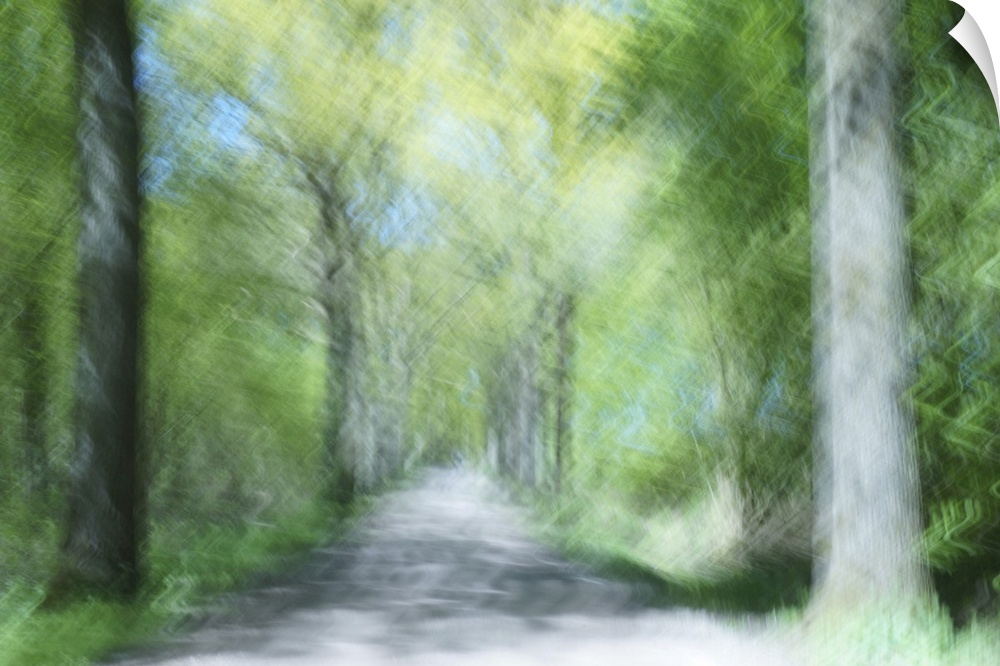 Artistically blurred photo. A bright sunny spring day in a forest in near the city of Nijmegen, The Netherlands.