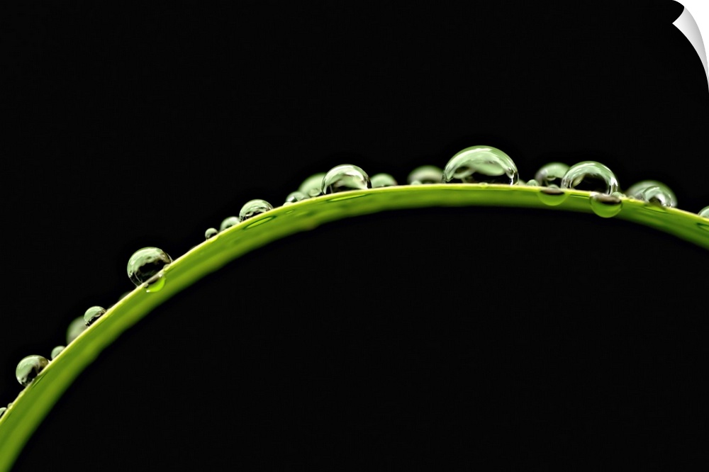 Up-close photograph of water droplets on a blade of grass.