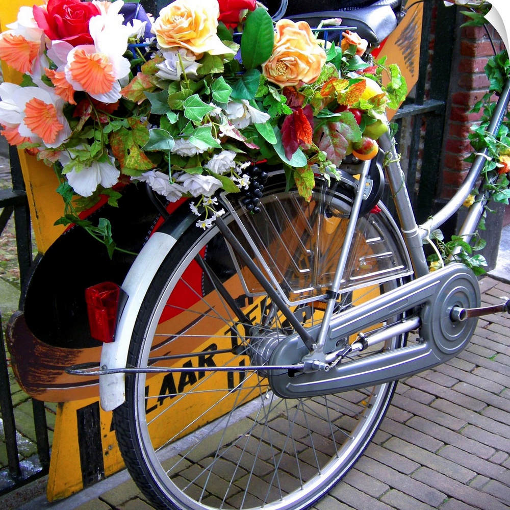 Bicycle covered with flowers in Holland.