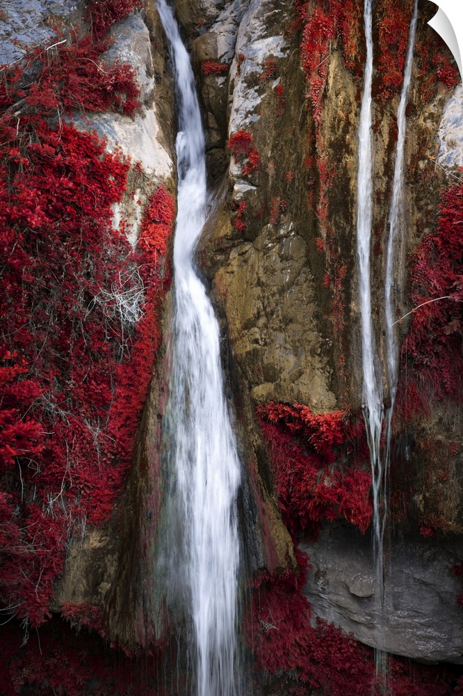 A photograph of a thin waterfall running through cracked rocks and fall foliage.