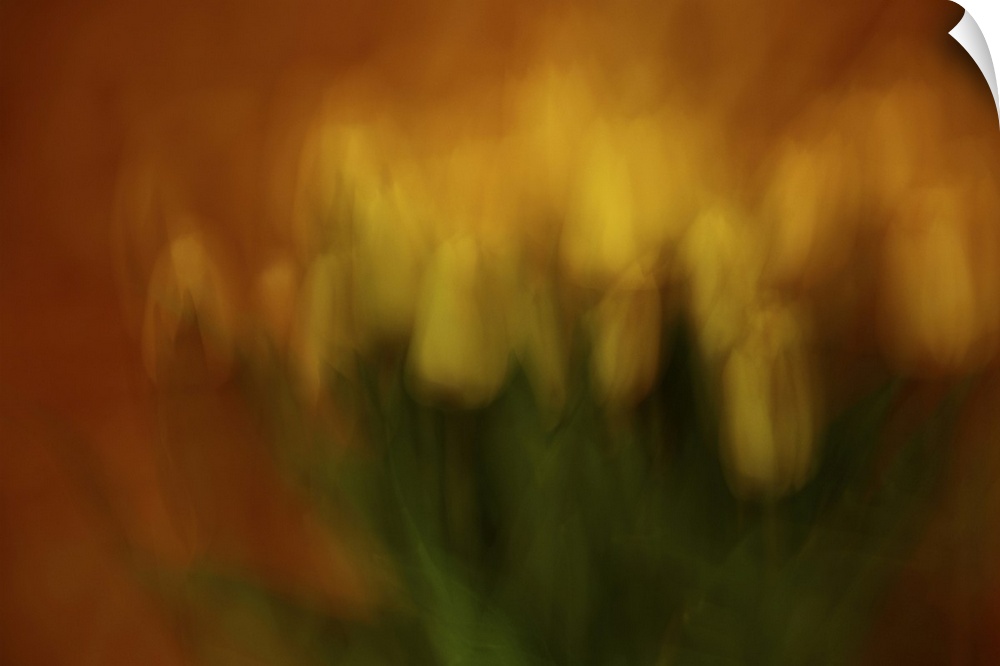 Long exposure and intentional camera movement