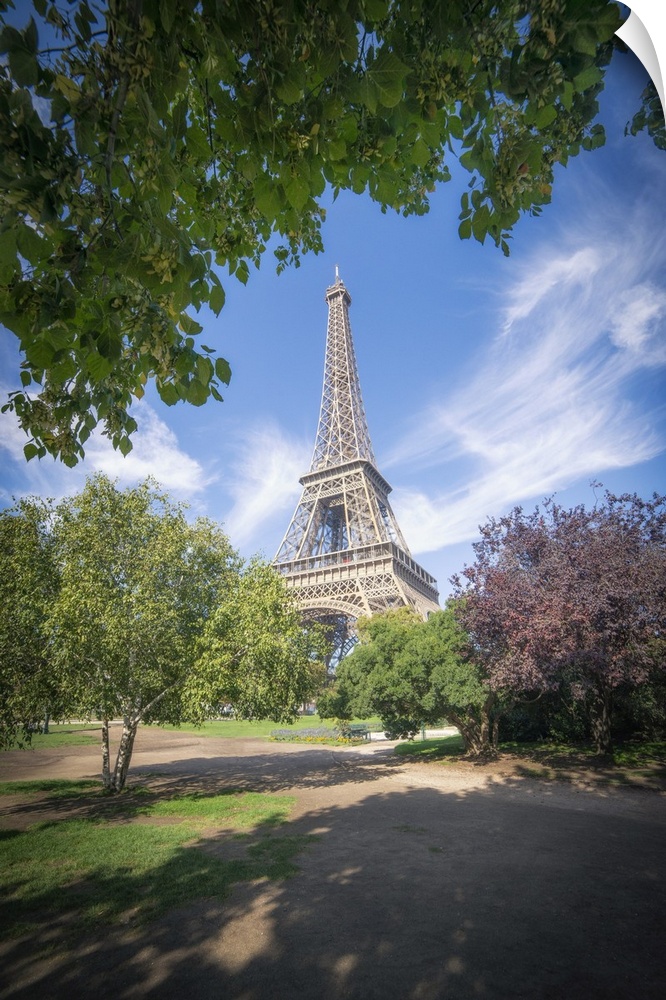 Eiffel tower view from Champ de mars in Paris, France among trees and garden on summer under a blue sky.