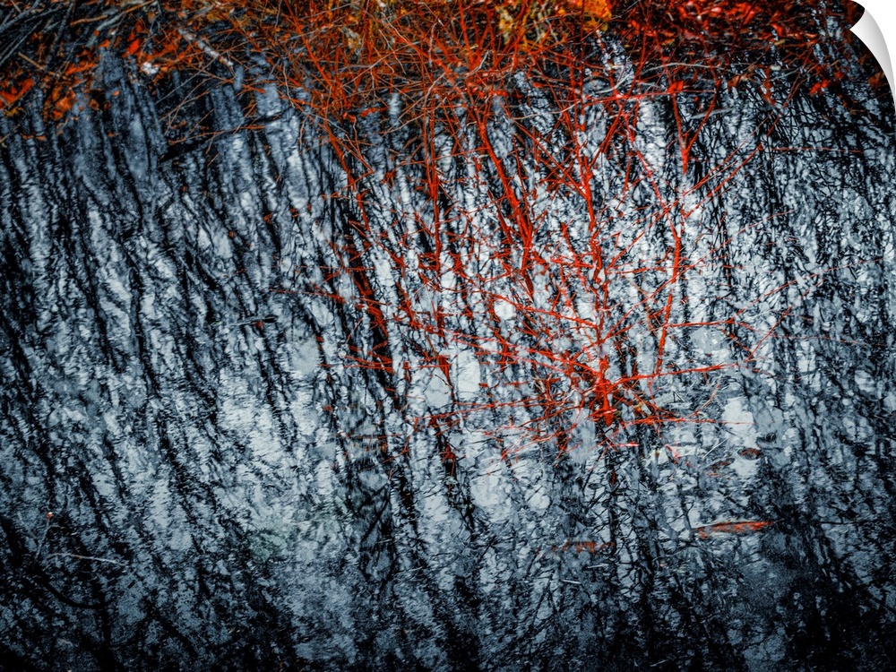 Abstract photograph with rough textures in black, red, and white.