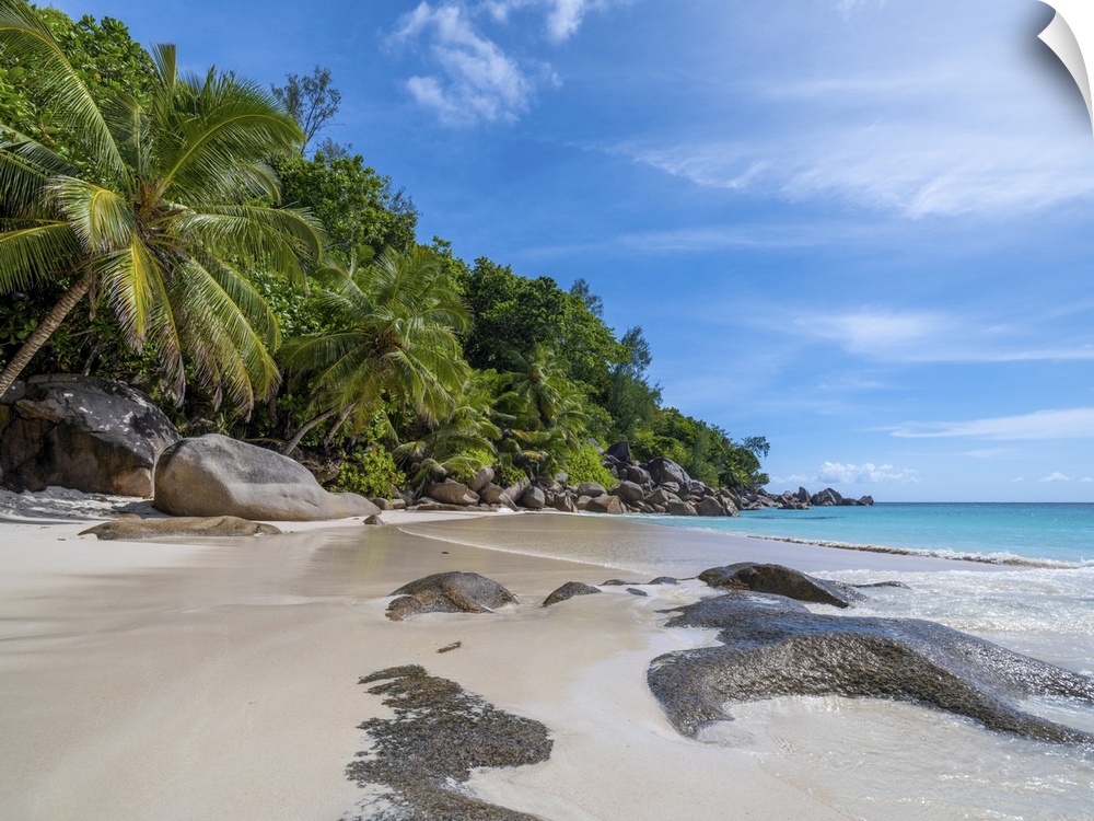 The "Anse Georgette" beach is located on the island of Praslin (Seychelles). It is a heavenly place where the white sand i...