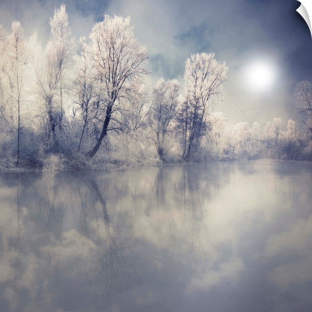 This beautiful photograph is taken from across a lake looking at snow and ice covered trees. The sun appears faint but bri...