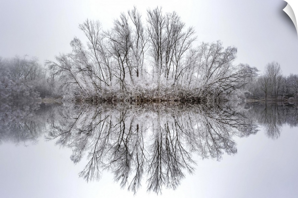 Photograph of a rounded and frozen tree line reflecting onto a calm, glassy lake.