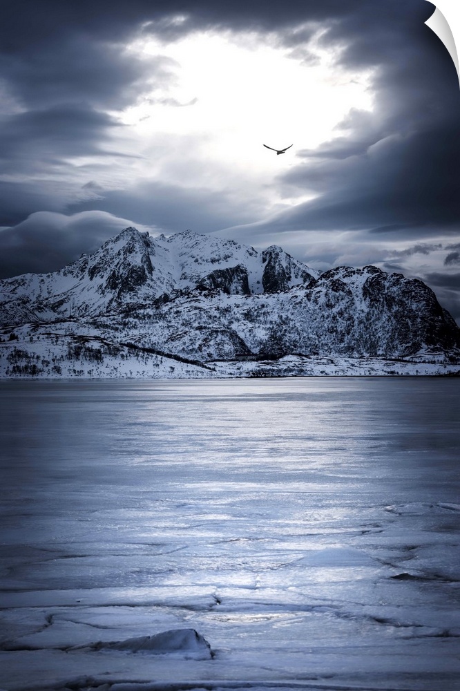 A photograph of snow covered mountains seen from the shore of a lake.