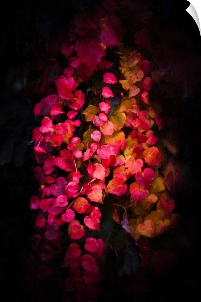 Red ivy leaves on dark background