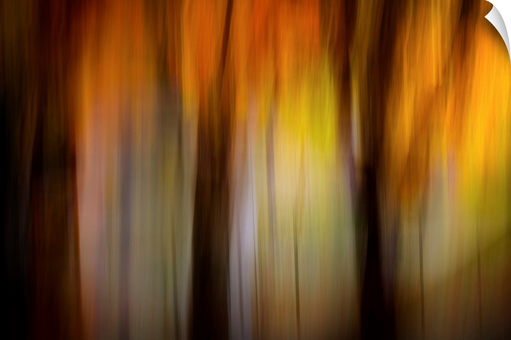 Abstract photograph of an autumn scene in warm, glowing tones, reminiscent of a forest at sunset.