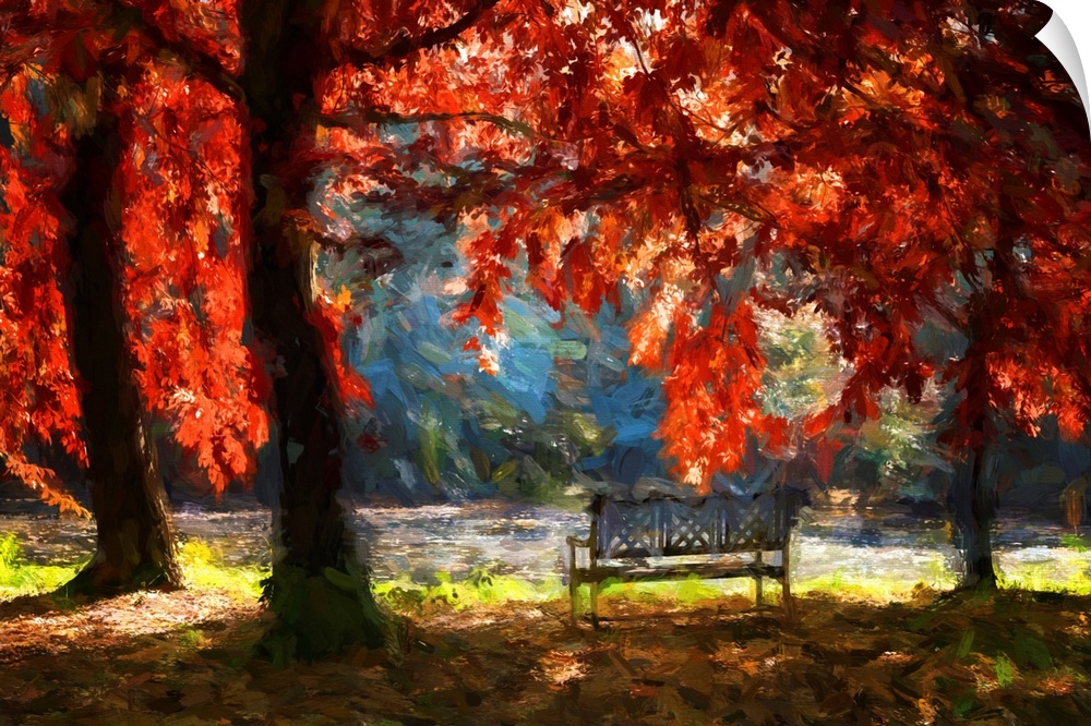 A bench under an oak tree in autumn with a expressionist photo or painterly effect