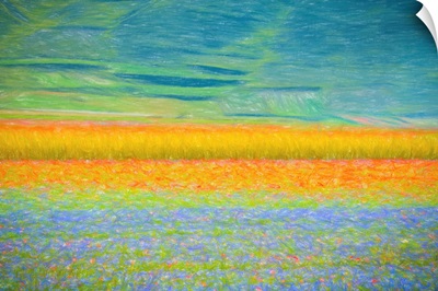 Field Colors