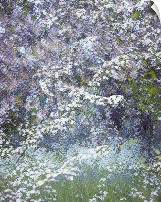 Floral Froth III