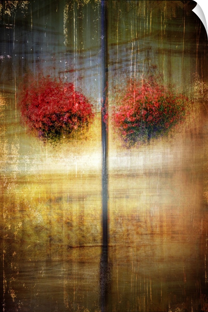 Abstract photograph of two hanging baskets of red flowers with heavy texture.