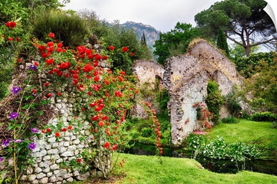 Flower Covered Ruins In Italy