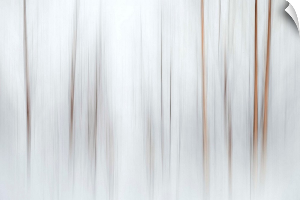 Artistic photograph of a thick fog in a forest, with a motion blur effect.