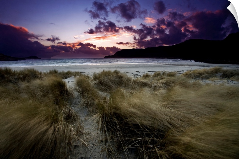 A dramatic seascape sky of blues, purples and pinks over a beach and dunes with windblown marram grasses.
