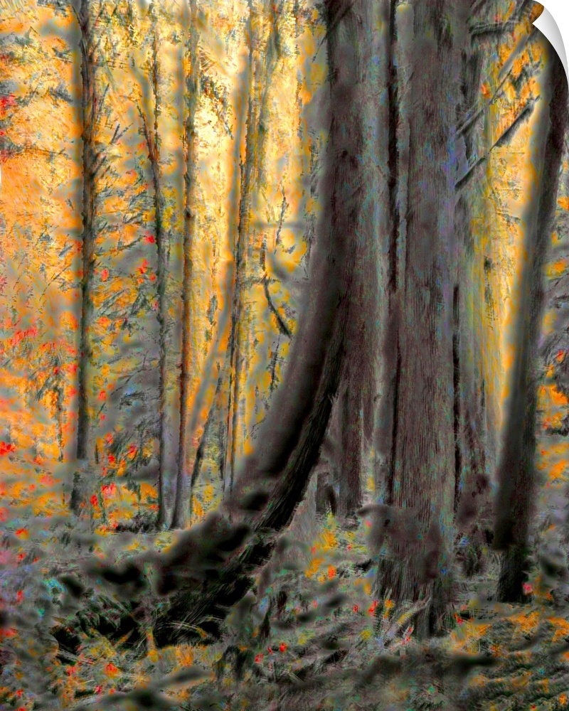 The base of a large tree stands out in this abstract scene of a forest.