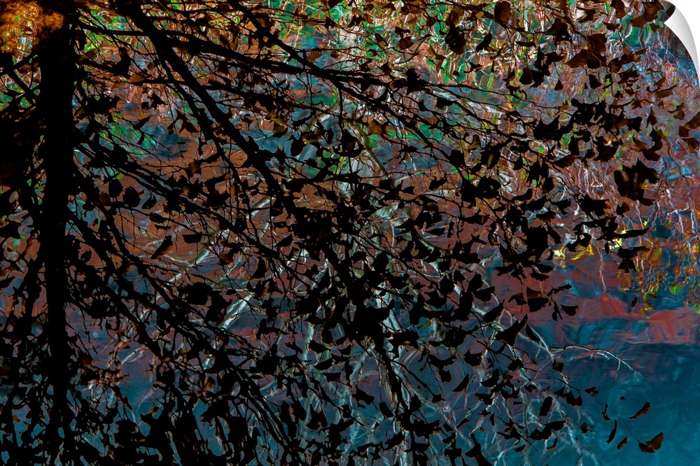 A silhouette of a tree's branches and leaves against a psychedelic blurred background.