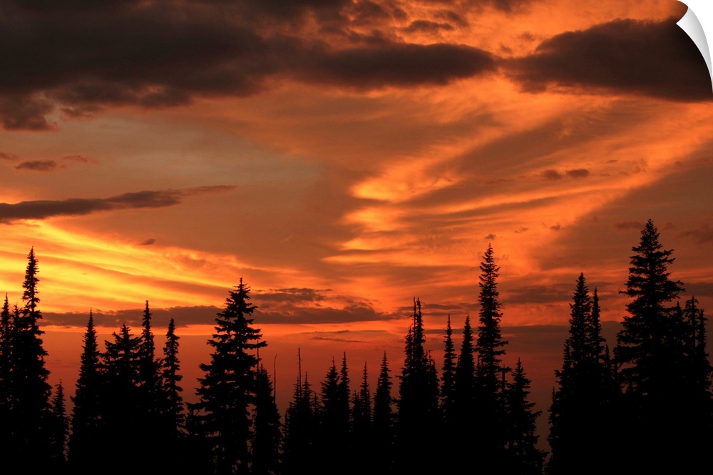 The sky glows orange and gold from Miner's Ridge at sunset. North Cascades, Washington.