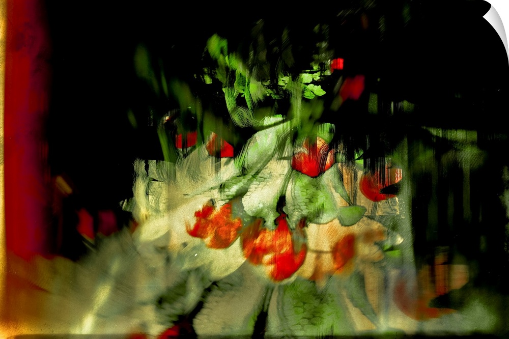 Abstract photograph of red tulips created with multiple layers of images.
