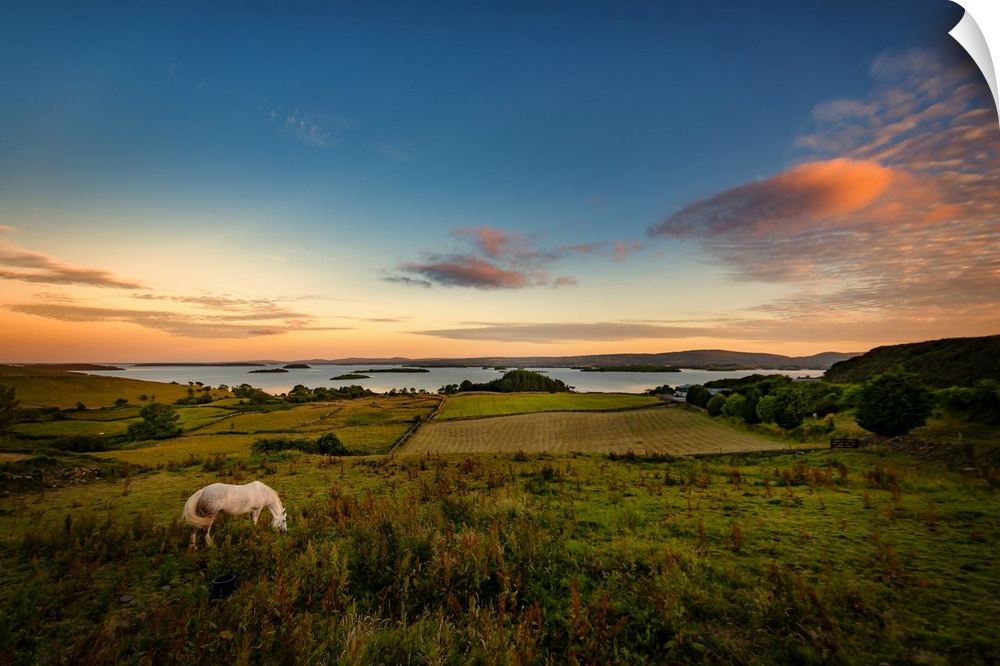 Sunset over Irish nature with a white horse in the foreground