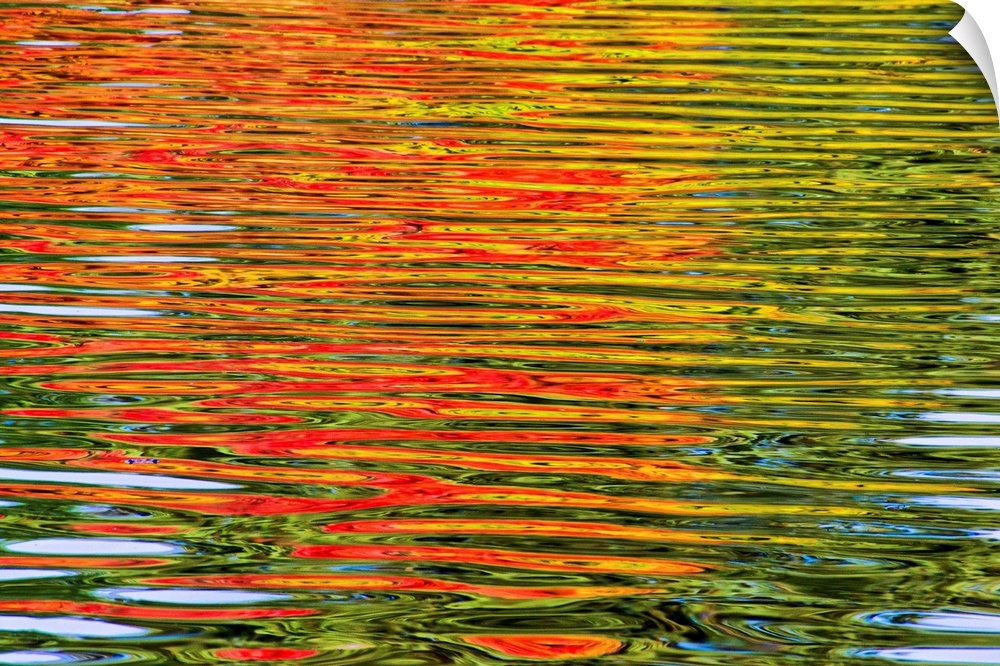 Fine art photo of leaves turning in the fall, reflected in water ripples, creating an abstract image.