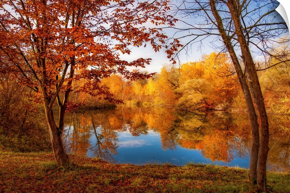 A pond in front of a forest in autumn with trees in the foreground