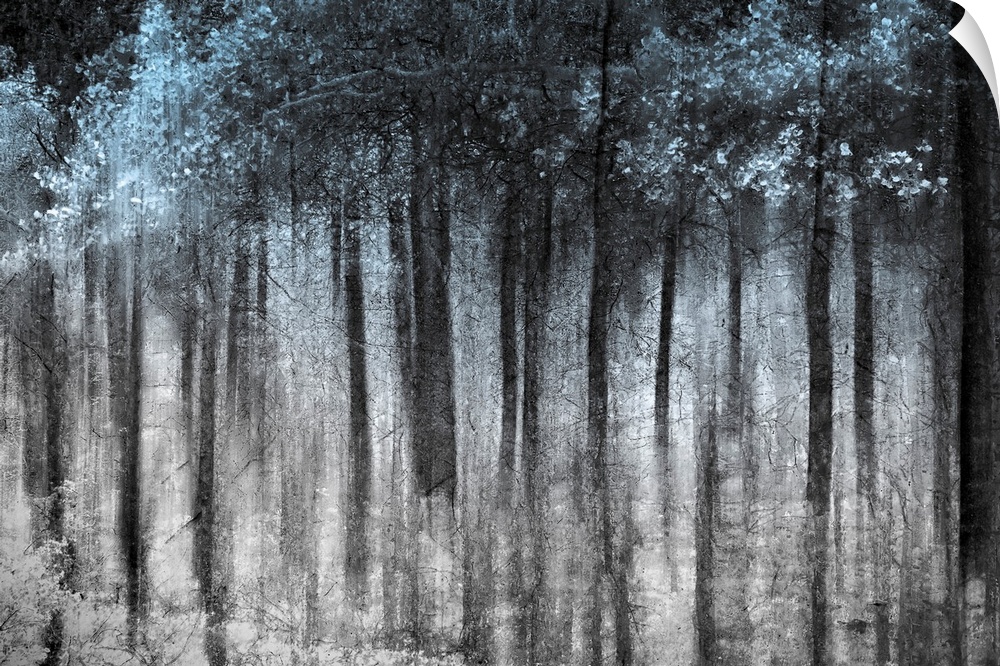 This wall art is an abstract landscape photograph of dark vertical shapes contrasting with a pale backdrop.