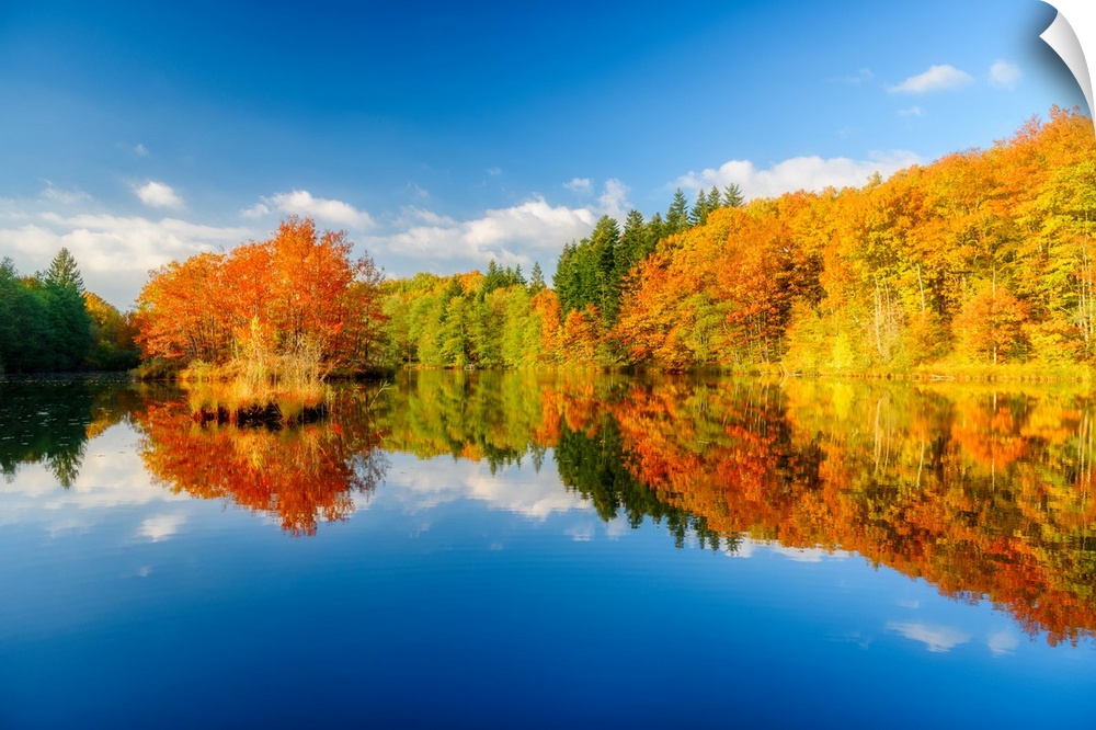 Blue sky and trees turning to fall color mirrored in the calm waters at the edge of the forest.
