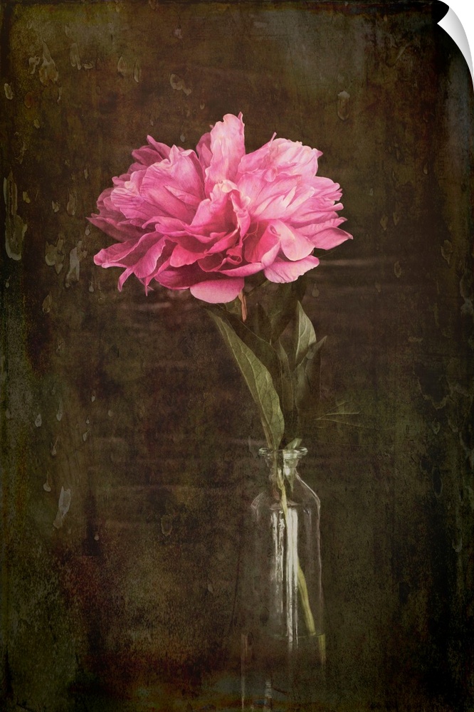 A peony in a vase with a photo texture