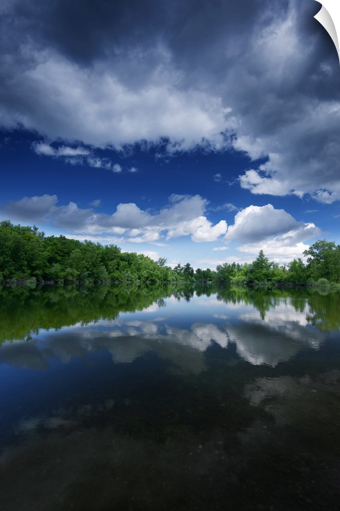 Forest is reflected in lake on a bright summer day