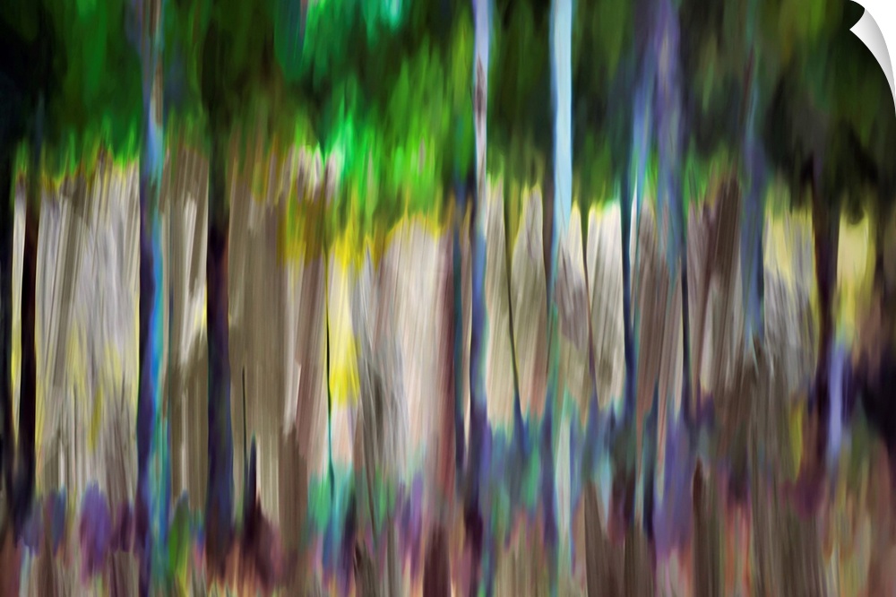 Abstract image of a group of trees and flowers in Summer. The light was bright and brought out all sorts of colors in both...
