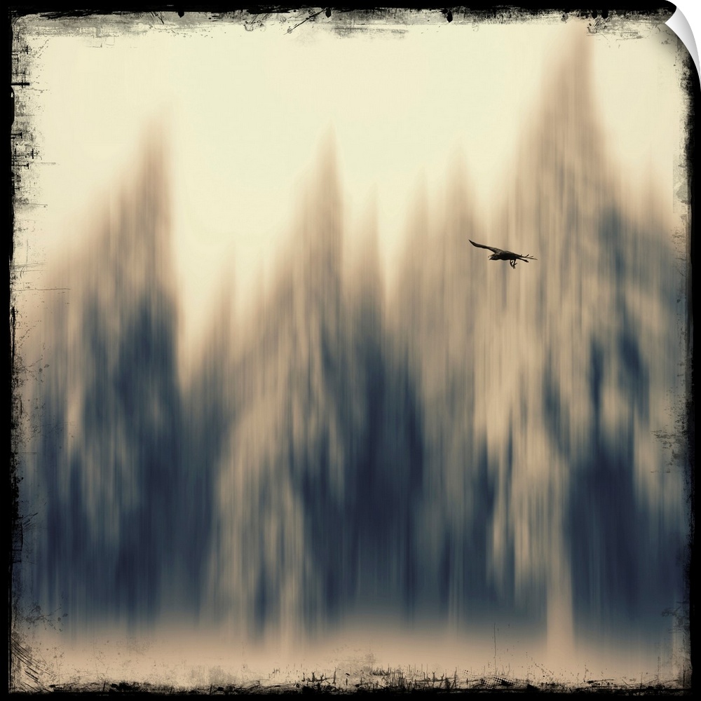 Blur effect on a fir forest with a bird in the foreground. Added photo texture