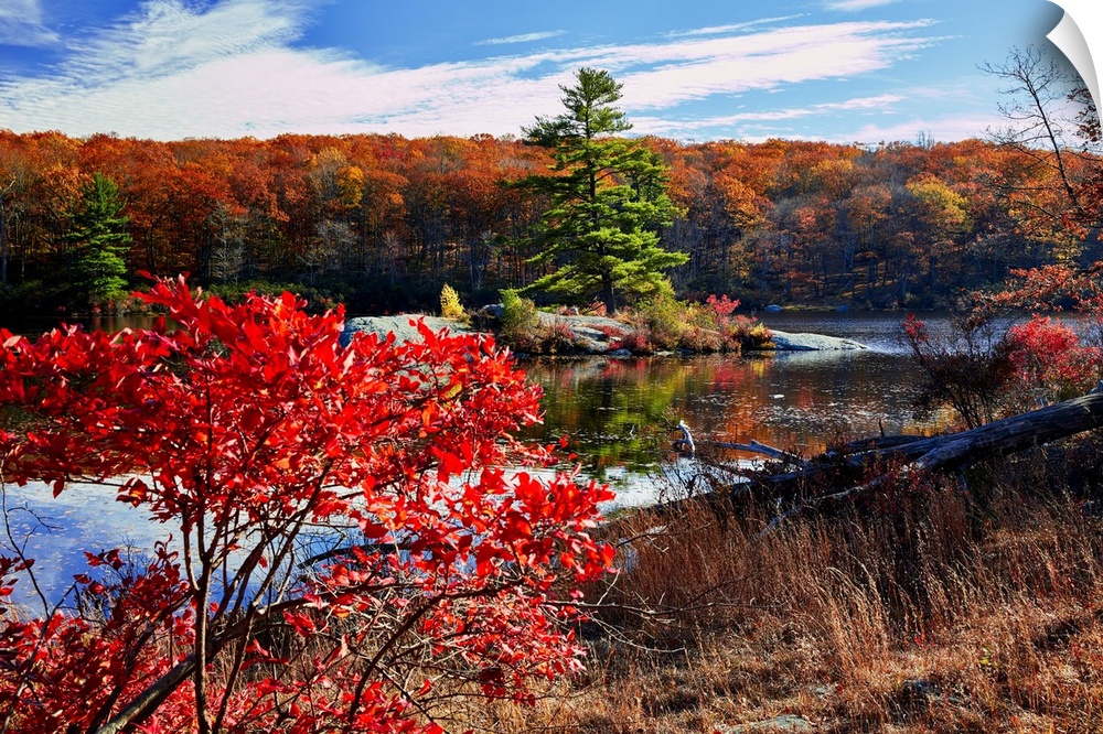 Little island in a lake during fall, Harriman State Park, New York.