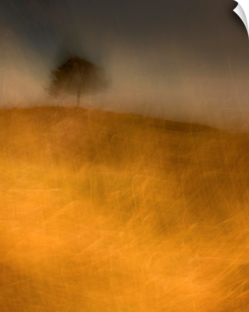 An impressionistic image of a lone tree in a storm on a small hill in a field of golden grasses.