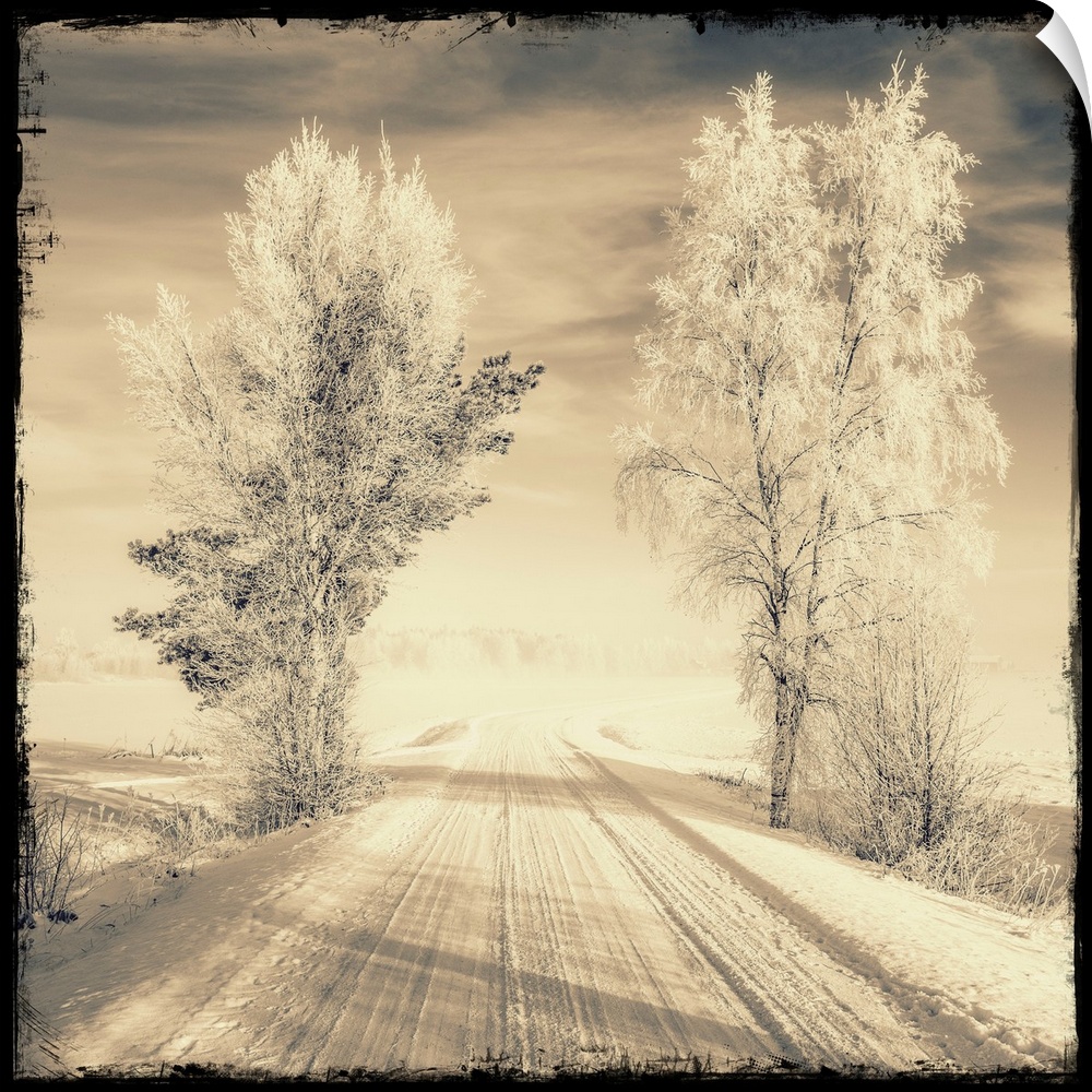 Snow-covered path passing between two trees with a sepia tone