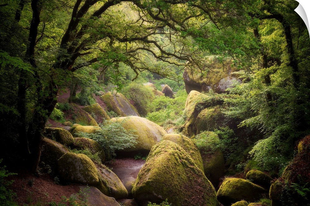 Picture of huelgoat forest in Brittany with big granitic rocks and green trees in the place called the chaos