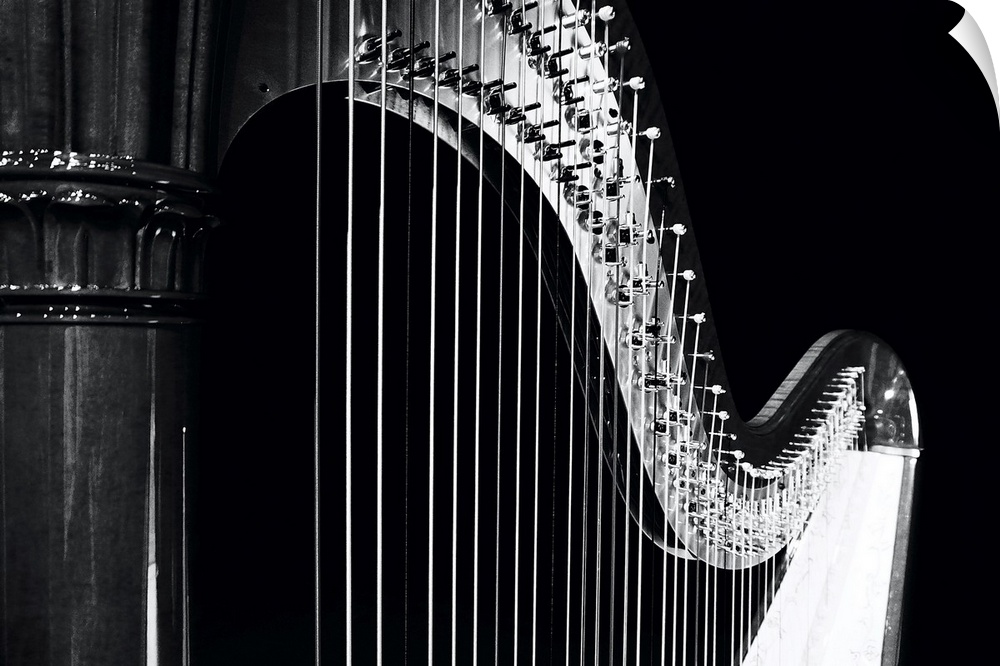 A play of light and dark on this beautiful harp, music in the spotlight.