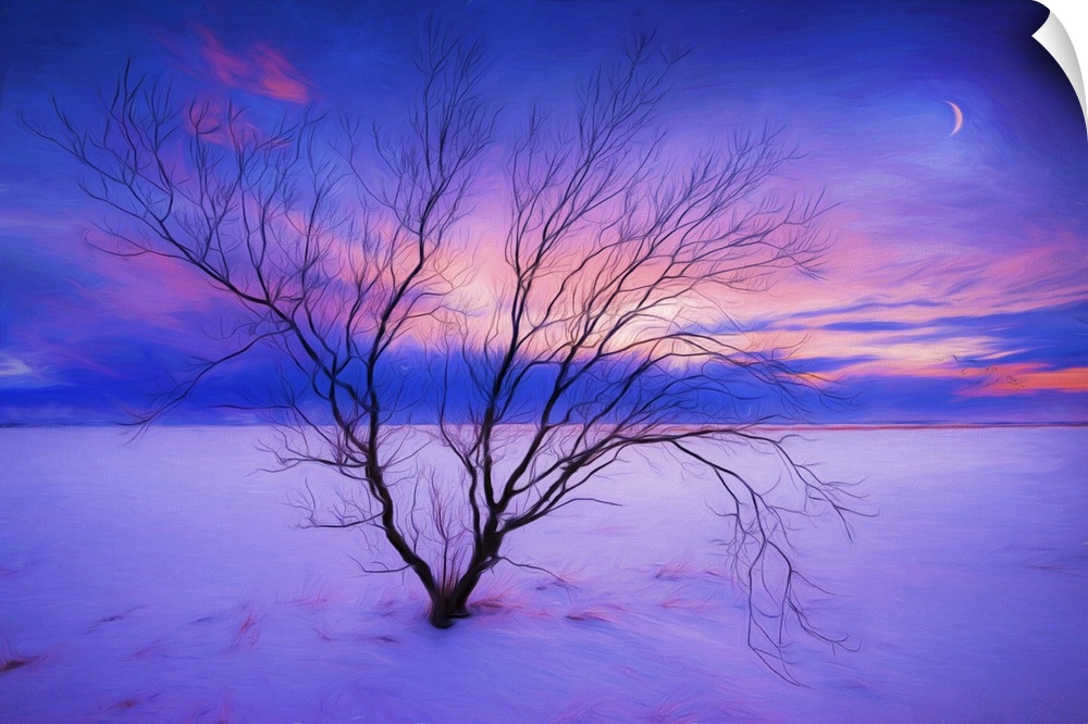 Photo Expressionism - Sunset in Iceland with a bare tree in the foreground.
