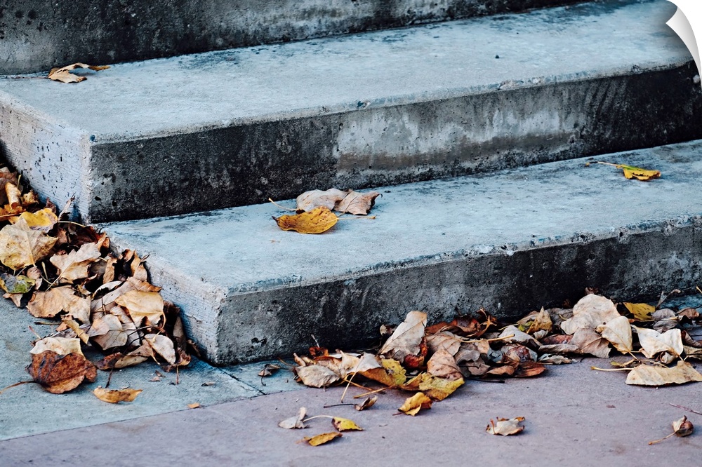 Concrete stairs covered in dry, fallen leaves.