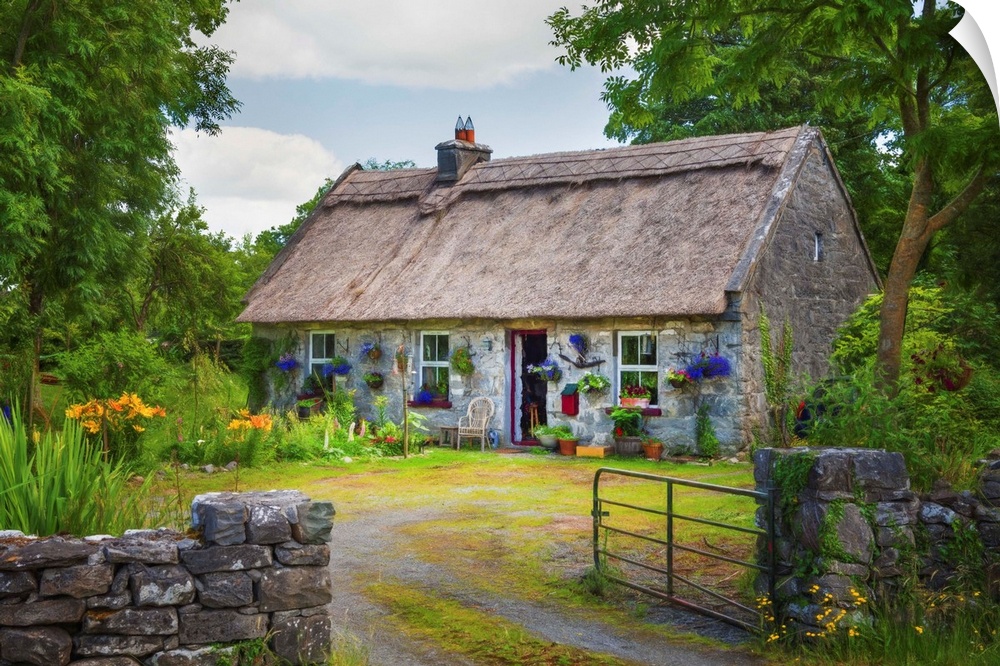 Irish traditional house with its garden